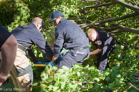Wheeling Fire Department man hit by a falling tree